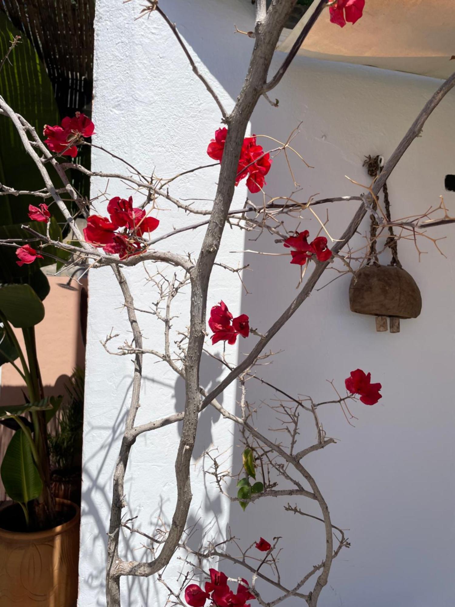 Ferienwohnung Mar De Fondo En Pedregalejo Málaga Exterior foto