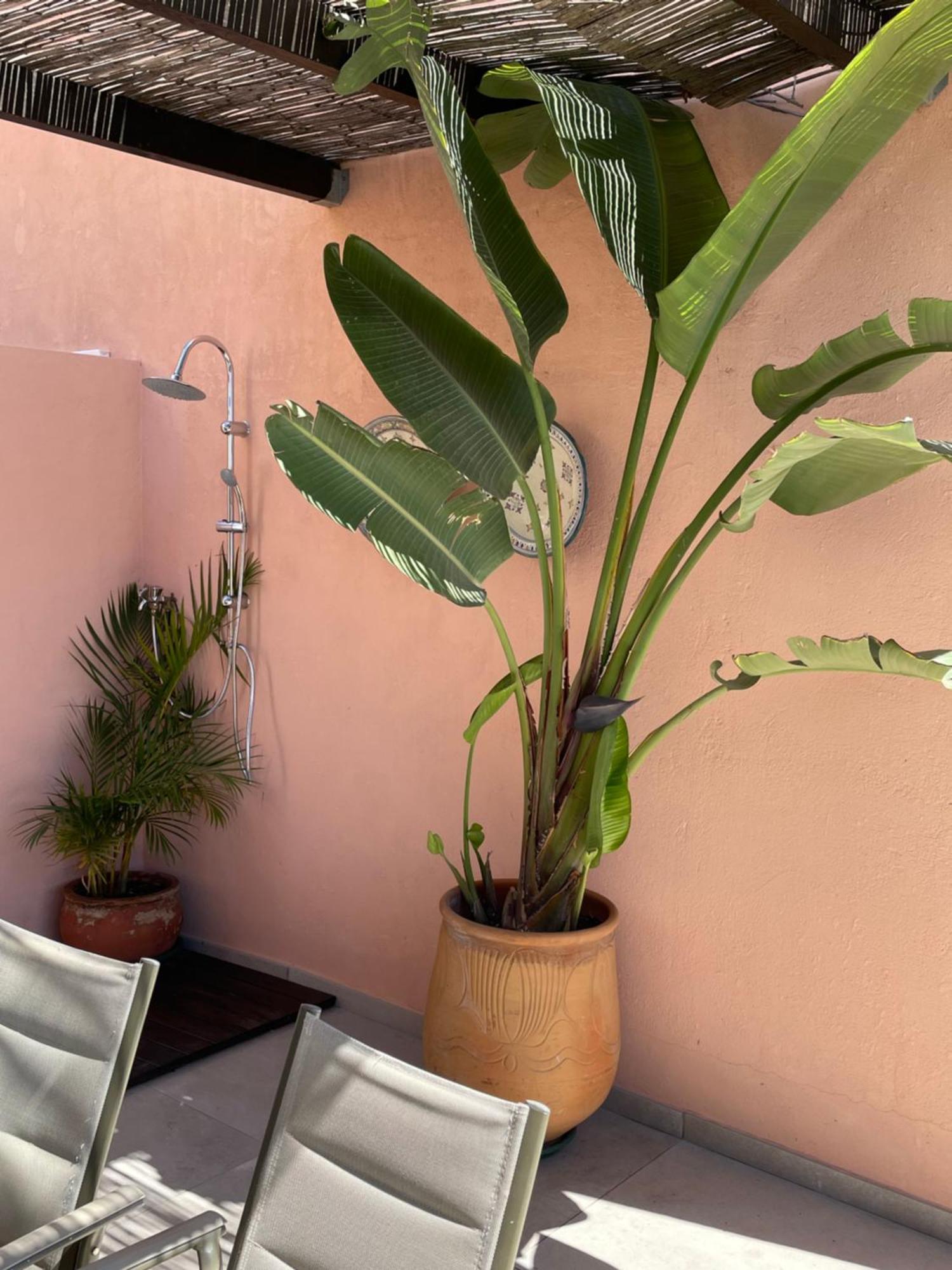 Ferienwohnung Mar De Fondo En Pedregalejo Málaga Exterior foto